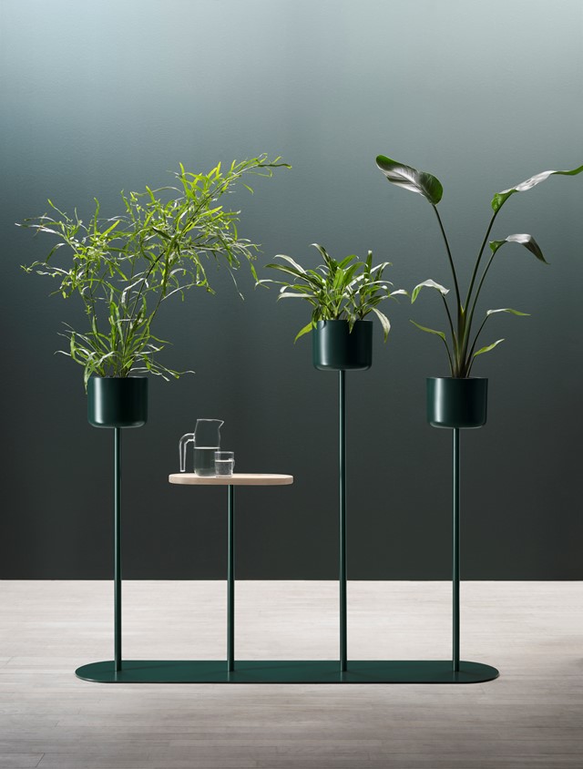 alle4_3pots_1table.jpg